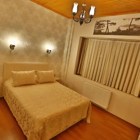 Mimoza Butik Buyukada 3* アダラー